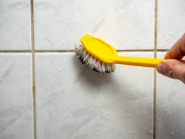 Best Fast Mold Removal  in Bartow, FL