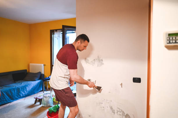Best Mold Removal Process  in Bartow, FL