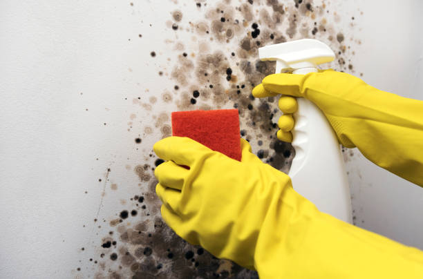 Water Damage Restoration in Bartow, FL